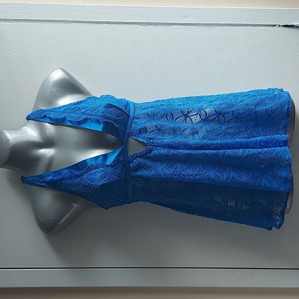 Blue Lace Negligee